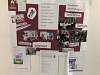 Bild "IMG_2540 Mittel.jpeg"