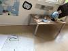 Bild "IMG_2556 Mittel.jpeg"