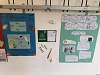 Bild "IMG_2566 Mittel.jpeg"